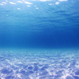 ocean avatar