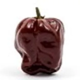 choco-chilli avatar