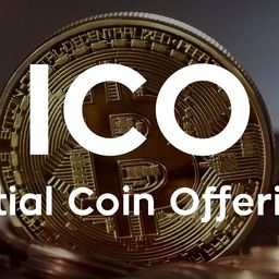 ck1903 avatar