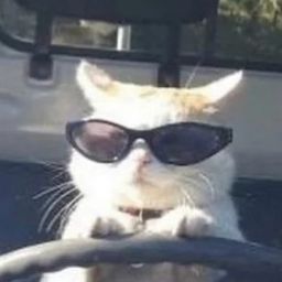cocothechonk avatar