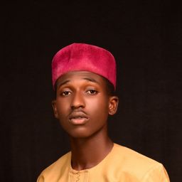 collinstochukwu avatar
