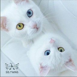 Comepickmup avatar