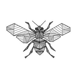 Condra avatar