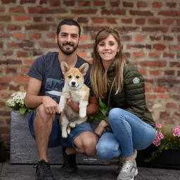 conorcorgi avatar