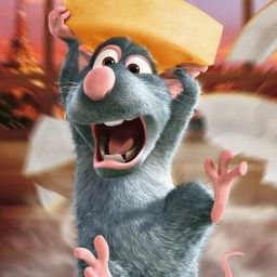 contentsmad  avatar