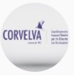 Corvelva avatar