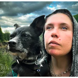 corvidae avatar