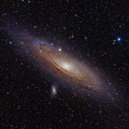 cosmic-humanity