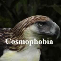 cosmophobia avatar