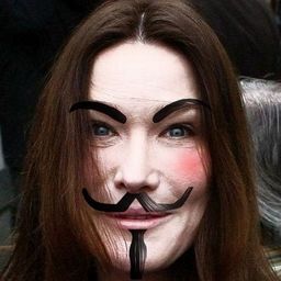 ASVDL Stop Trolls avatar