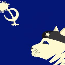C Cat Productions avatar