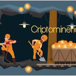 CRIPTOMINERIA avatar