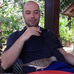 Stefan Ćertić avatar