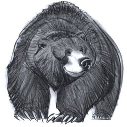 Crypt0Bear