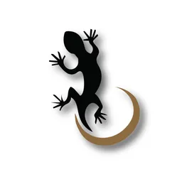Crytp0Lizard avatar