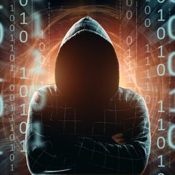 CryptAncapitalist avatar
