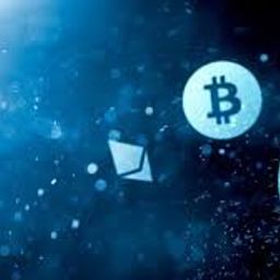crypto-dz avatar