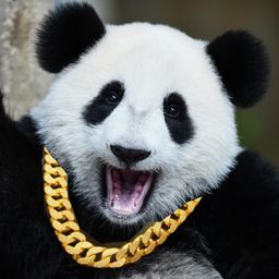 Crypto Panda