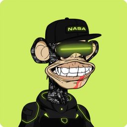 crypto.max avatar
