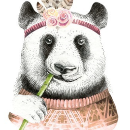 crypto.panda avatar