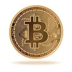 Crypto Update avatar