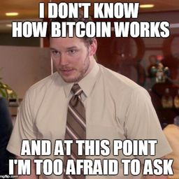Cryptomeme avatar