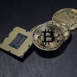 The Love Of Crypto avatar