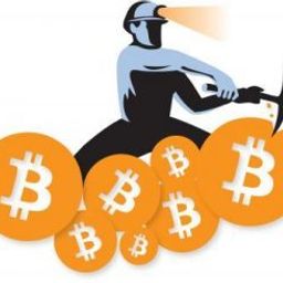 cryptocoiners avatar