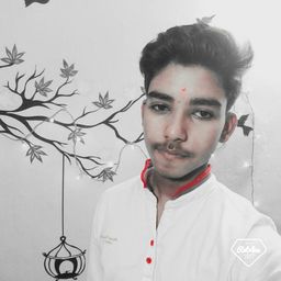 Anmol kumar  avatar