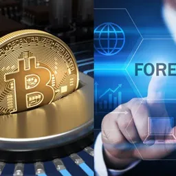 CryptoForex avatar