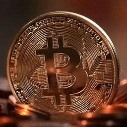 cryptohype2020 avatar