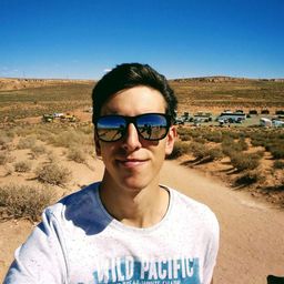Pavlin Nikolov avatar