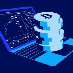 cryptonumbers avatar