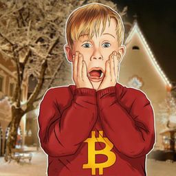 CryptoRelax avatar