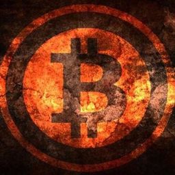 Cryptovanga avatar