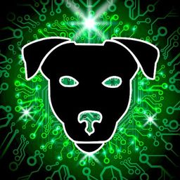 cryptowatchdogs