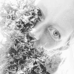 CrystalGardenGoddess avatar