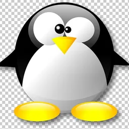 csgeek avatar