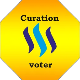 curationvoter avatar