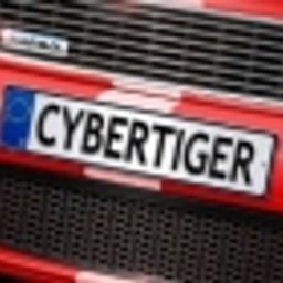 CyberTiger avatar