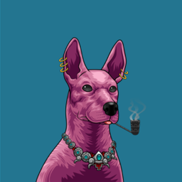 cykle avatar
