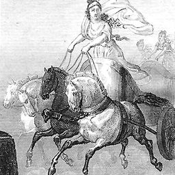 Cynisca avatar