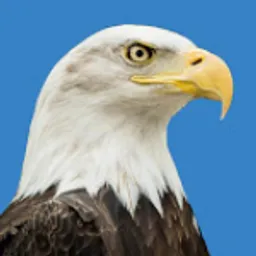 Daily Eagle avatar