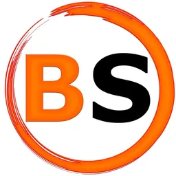 BS-Holding LTD avatar