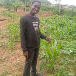 Emeka Daniel  avatar