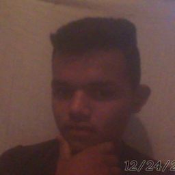 DanielSilva avatar