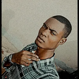 Ndubuisi Victor avatar