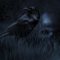 darween91