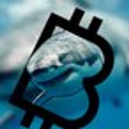 Crypto Shark avatar