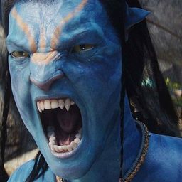 dawidrams avatar